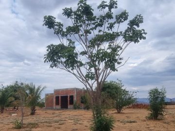 Chácara à venda em Mato Verde / MG
